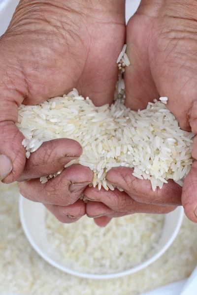 Raw rice grain with hands — Stock Photo, Image