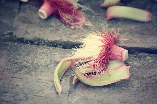 ヴィンテージレッドの花 — ストック写真