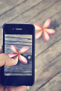 Akıllı telefon ile çiçek