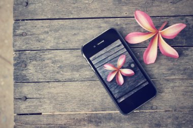 Akıllı telefon ile çiçek