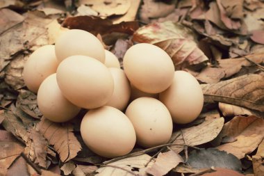 Vintage Paskalya yumurtaları