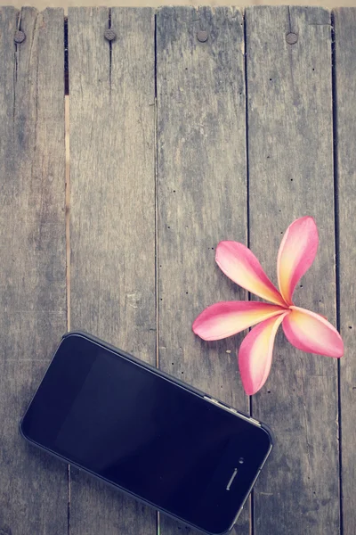 Flor rosa con teléfono inteligente — Foto de Stock