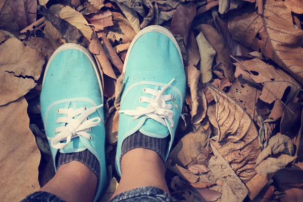 Женщина ходит в обуви на осенних листьях — стоковое фото