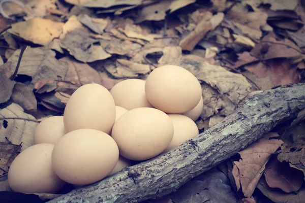 Vintage Πασχαλινά αυγά — Φωτογραφία Αρχείου
