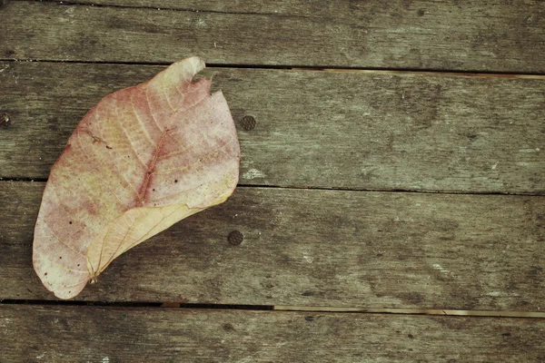 Dried leaves — Stock Photo, Image