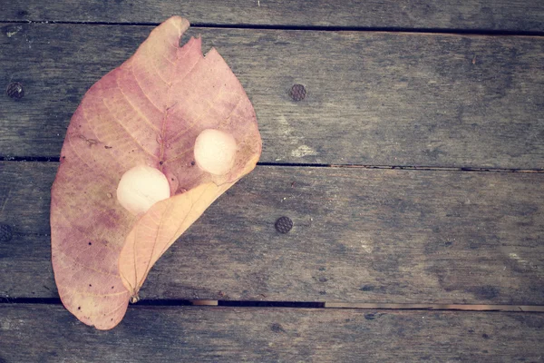 Folhas secas com cubos de gelo — Fotografia de Stock