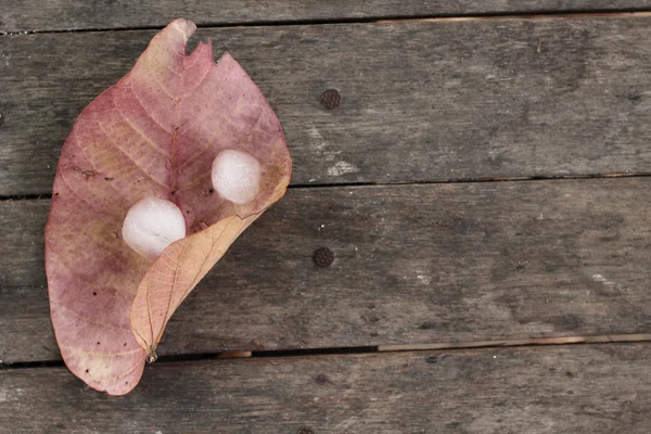 Dried leaves with ice cubes — Stock Photo, Image