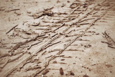 Topraktaki tekerlek izleri.