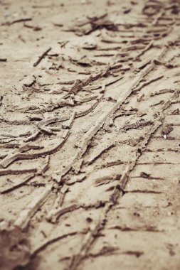 Topraktaki tekerlek izleri.