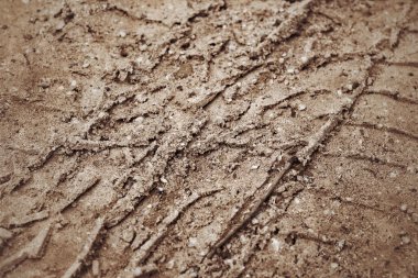 Topraktaki tekerlek izleri.