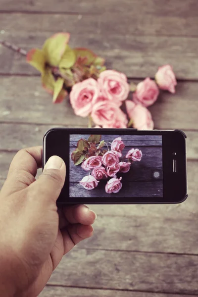 Tomando fotos de rosas — Foto de Stock