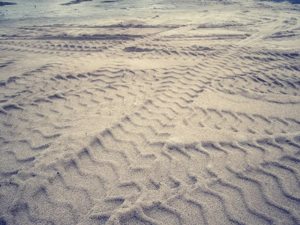 Wheel tracks on the soil. — Stock Photo, Image