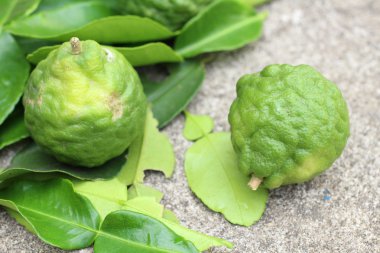 Güney Afrika'da bir kabile ve sülük limon