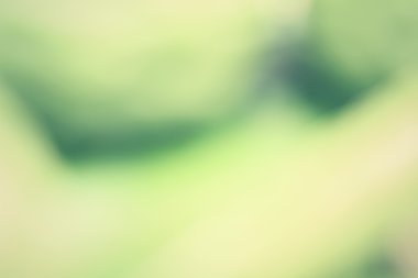 Vintage yeşil arka plan