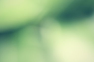 Vintage yeşil arka plan