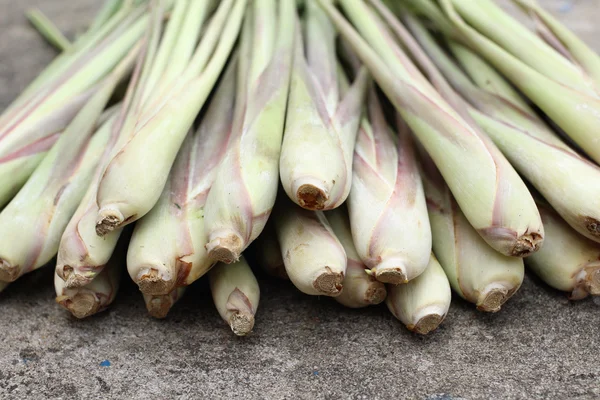 Lemon grass — Stock Photo, Image