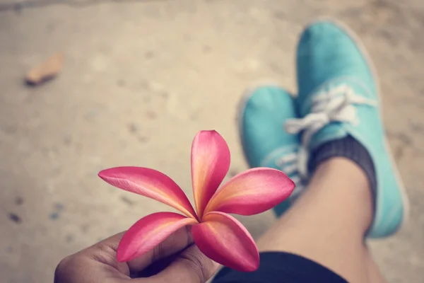 Selfie av rosa frangipani blomma med sneakers — Stockfoto