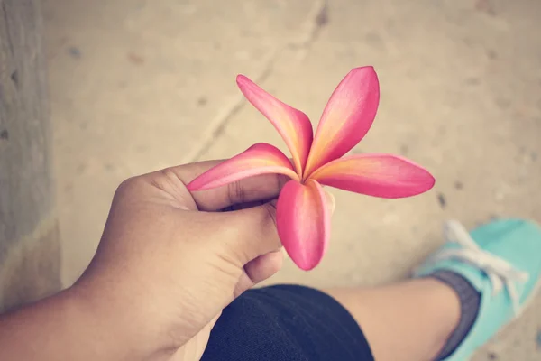 Selfie ของสีชมพู frangipani ดอกไม้ที่มีรองเท้าผ้าใบ — ภาพถ่ายสต็อก
