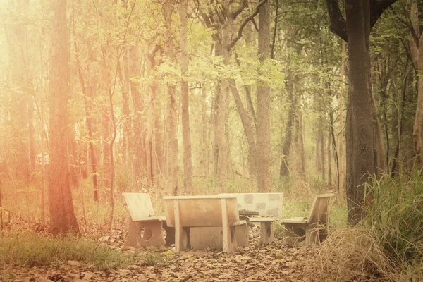 Chairs in the forest — Stock Photo, Image