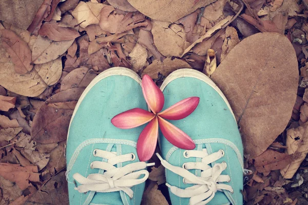 Selfie a rózsaszín rózsa, őszi cipők — Stock Fotó