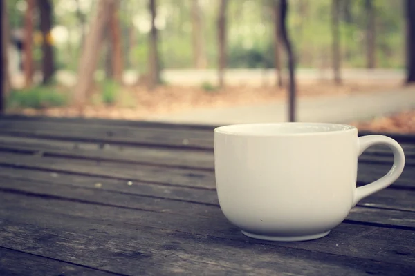 Coffee cup at forest — Stock Photo, Image