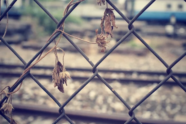Вінтажний дріт паркан на залізничній станції — стокове фото