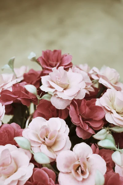 Vintage roses — Stock Photo, Image