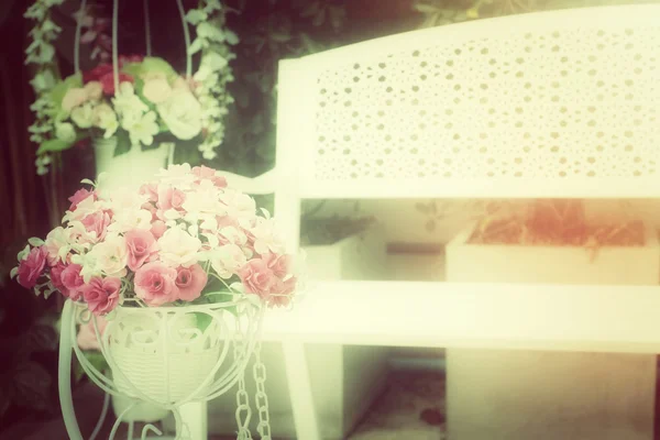 Vintage roses with bench chair — Stock Photo, Image