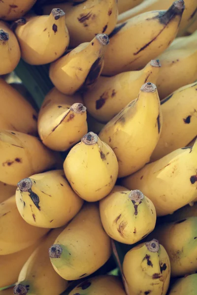 Bananenstrauß — Stockfoto