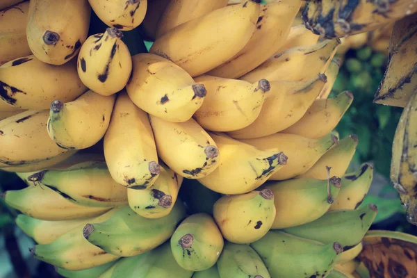 Ramo de plátanos — Foto de Stock