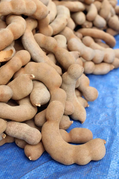 Tamarind — Stock Photo, Image