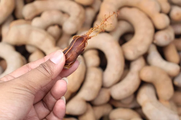 Tamarindo — Foto Stock