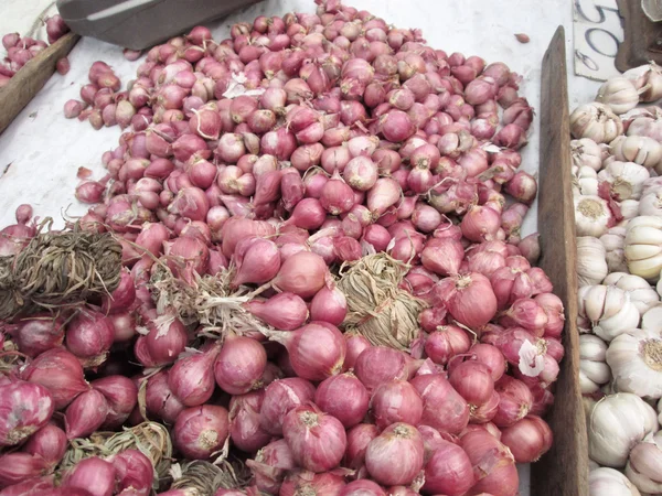 Shallot - asia red onion — Stock Photo, Image