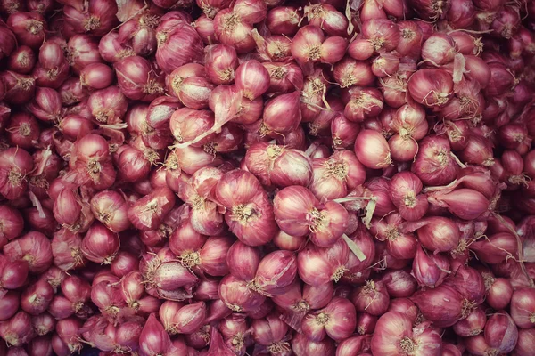 Chalota - cebolla roja de asia — Foto de Stock