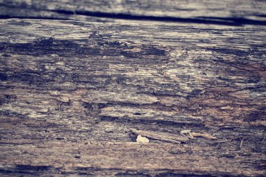 antika ahşap arka plan