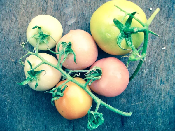 Frische Tomaten — Stockfoto