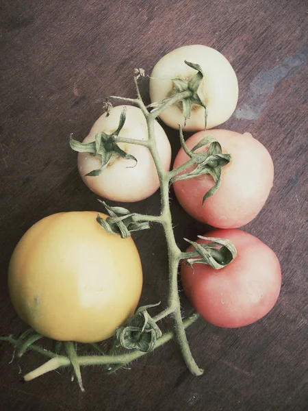 Tomates frescos — Fotografia de Stock