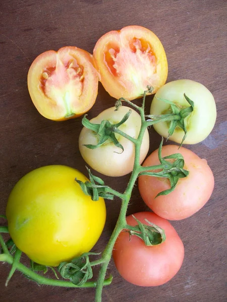 Färska tomater — Stockfoto