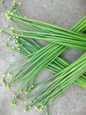 soğan çiçek sebze 