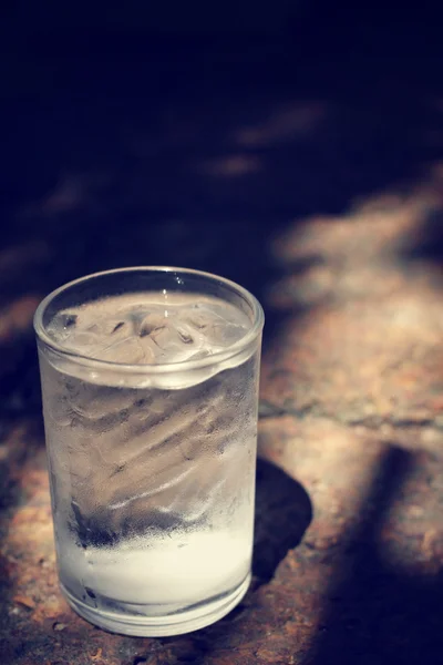 Beber agua con sombra — Foto de Stock