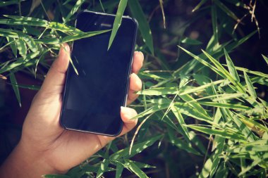 Bambu ile akıllı telefon