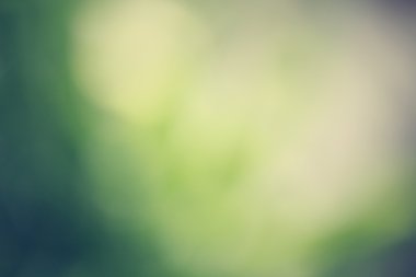 yaprakları bulanık