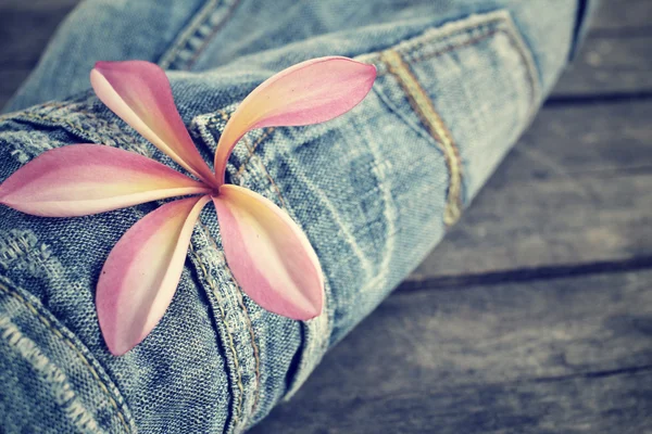 Jeans with frangipani flower — Stock Photo, Image