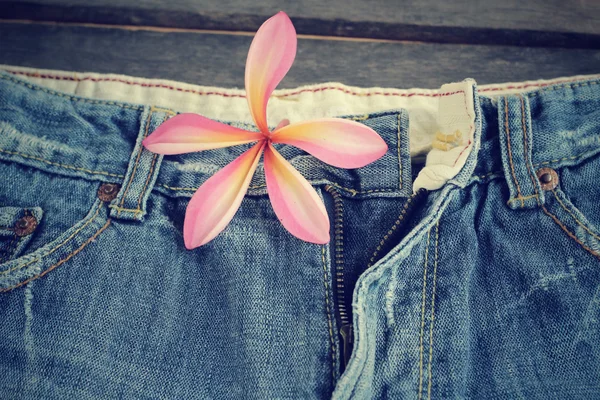 Jeans met frangipani bloem — Stockfoto