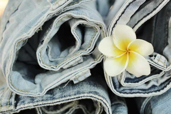 Jeans med frangipani blomma — Stockfoto