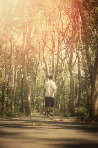 Senior jogging på en skogsväg — Stockfoto