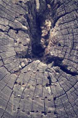 eski tahta arkaplan dokusu