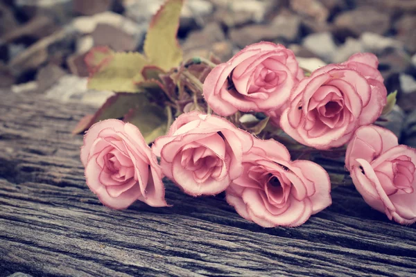 Vintage roses — Stock Photo, Image