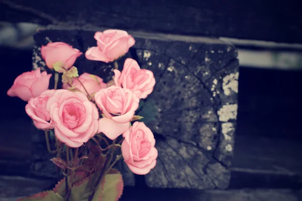 Vintage roses — Stock Photo, Image