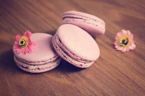 Macarons aux myrtilles — Photo